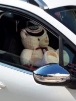 7310acce-0700-4bb4-be79-37fe065ba3dc