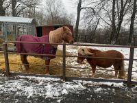 68c1044f-3fa6-4564-b285-e759b0a1758c