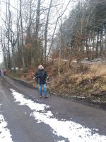 8aaa9d52-338b-4233-8706-58e5c9670632