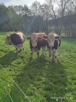 599519b3-4791-45f4-b7a2-106e02745ce5