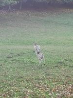 bf80676a-b2b5-45ca-972b-9ec57dc777eb