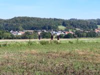 8918c310-691b-48af-aabe-089e2787efe3