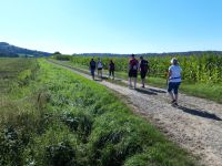 c5066470-c22f-41d0-9d51-17e53595f901