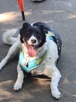 f1f45981-85be-4979-8433-3be3aeb2ccc8