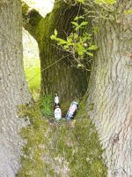 3277e7ec-73dc-43a4-bf66-9b0e493ca0d5