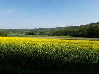 b8b4dafd-c495-4f8f-9220-c1e110b2173c