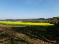 ee5c8f37-3c9c-4b44-b571-86725ca76ea6