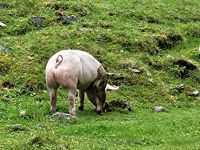 033704f3-1801-4198-82df-d9e1f75c9d9f