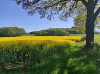 26af39b3-3847-4aeb-bd88-e84368964b0d