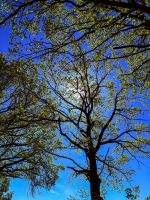 e961c6f4-6d2f-4829-9364-4f1960a05a20