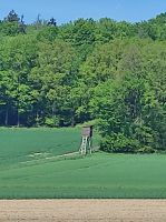 f1c56799-69fc-45c7-ad95-89126b40a7f0