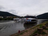 43774969-1862-4825-9f13-12bd1174293e