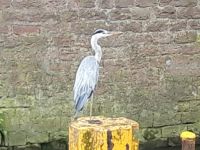 c7c2be60-4120-4beb-887a-992b3a6d79d7